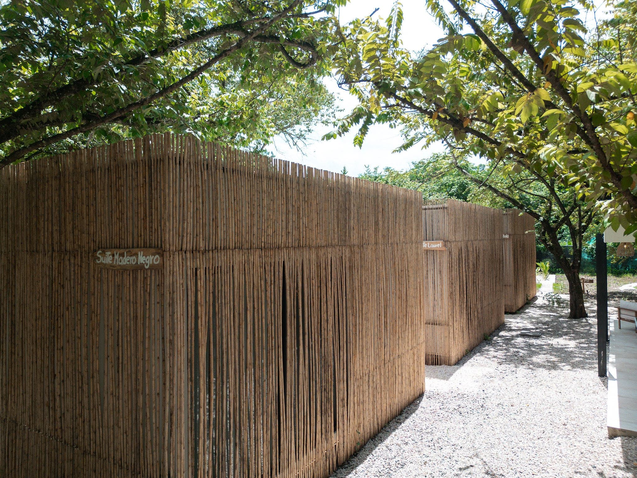Proyecto Kahwi — 19.89 Arquitectura (imagen 10)